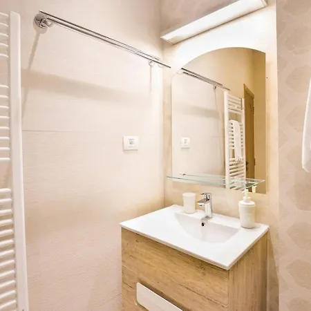 Spacious Deluxe Old Town-free Parking Apartment Bucharest